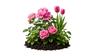 Чернозём для клумб